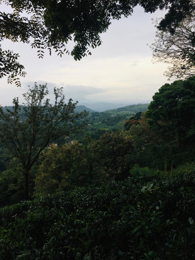 Others 3, Desire Village Rakwana, Godakawela