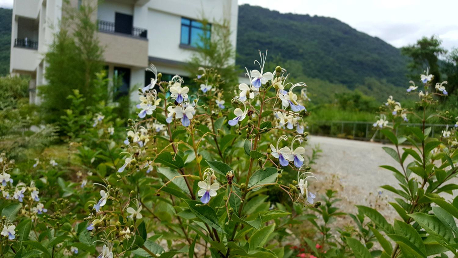 Others 4, Hua Lian Sin Su Homestay, Hualien