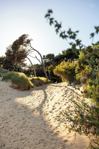 Others 5, Le Lodge de la Presqu'île de Giens, Var