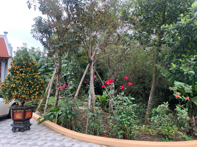 Others 5, Tre Xanh Homestay, Ninh Bình