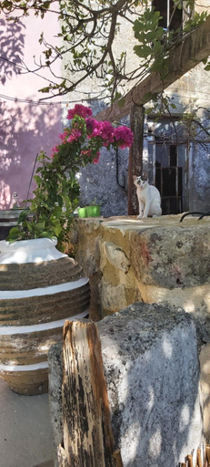 Others 3, Vryses Crete-Village Vibes, Crete