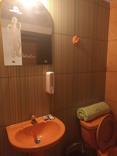 Bathroom 2, RIXAA Hotel, Pedro Domingo Murillo