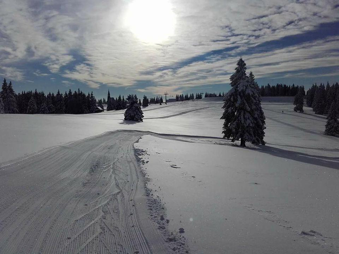 Others 5, Rogla Chalet Urska, Zrece