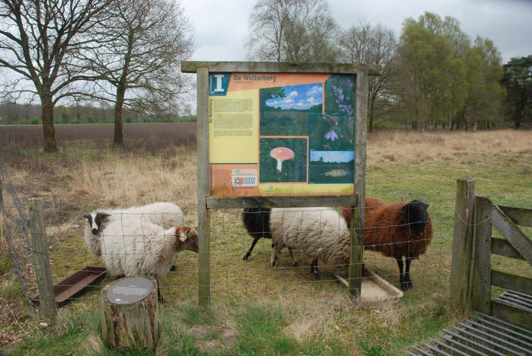 Others 5, Assen-Groningen-Saunacabine, Tynaarlo