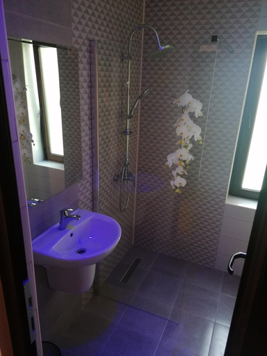 Others 4, Casa Constantin Vic, Tuzla