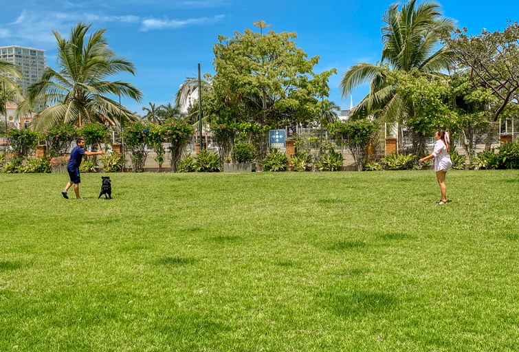 Exterior & Views 2, Hotel Puerto de Luna Pet Friendly & Family Suites, Puerto Vallarta