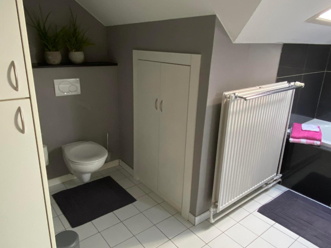 Bathroom 3, Vakantiewoning Het Wielje Maasland, Limburg