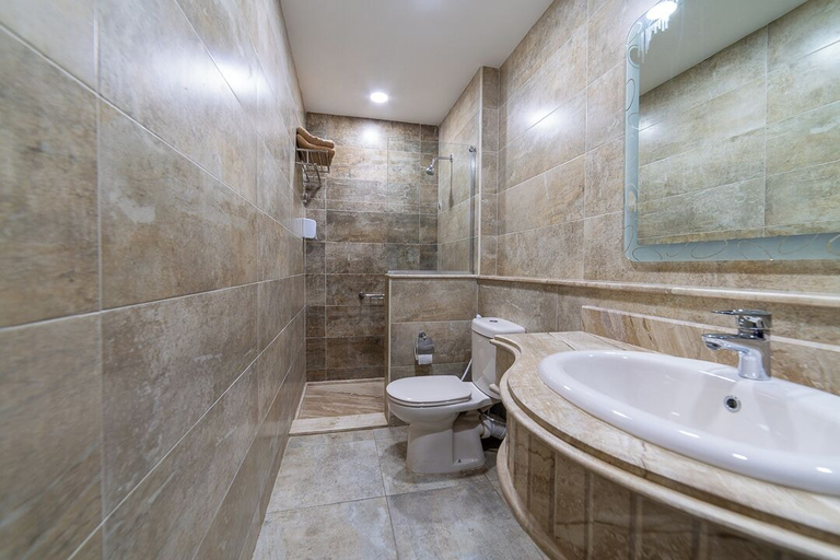 Bathroom 4, Violet 133, New Cairo City