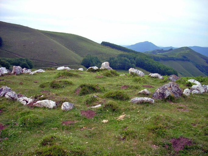 Others 5, Zubimuxu Aterpea, Navarra