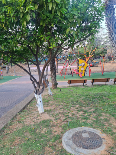 Others 5, A Dream Place in Raanana, up to 4 guests -