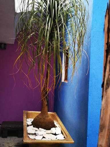 Others 5, HOTEL BACANTES, San Andrés Cholula