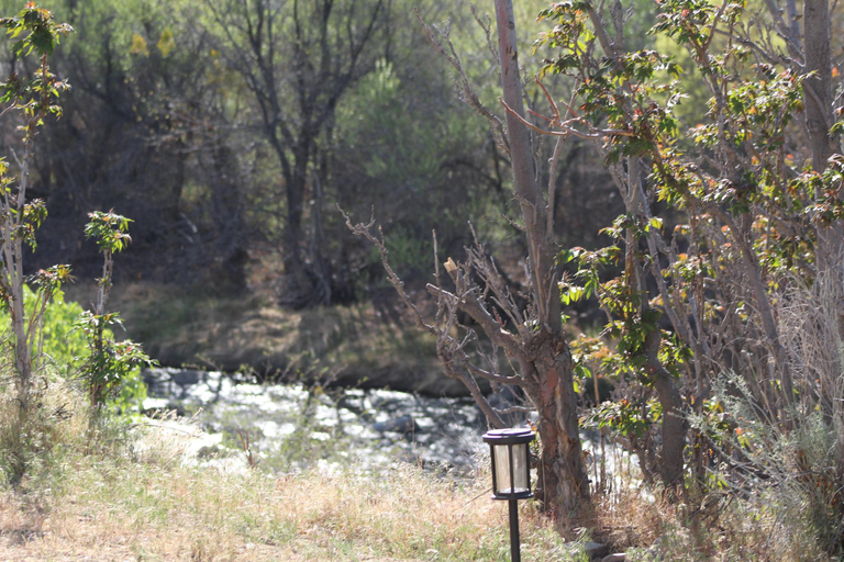 Others 5, SoCal Camping, Tulare
