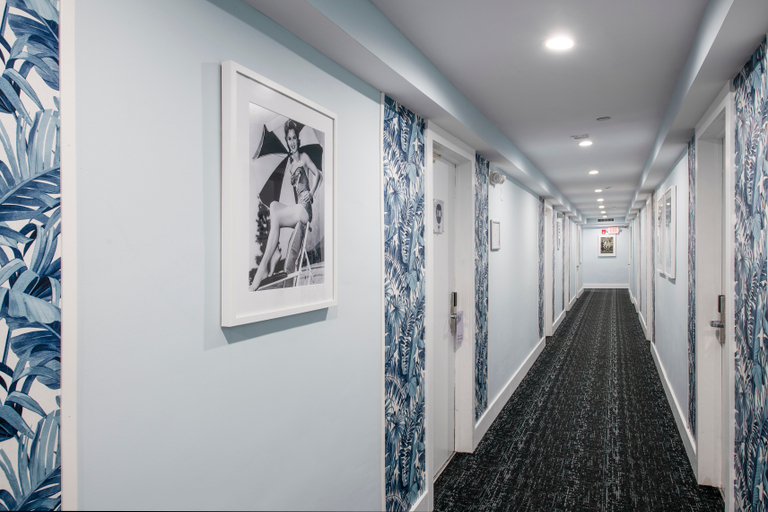 Public Area 3, The Penguin Hotel, Miami-Dade