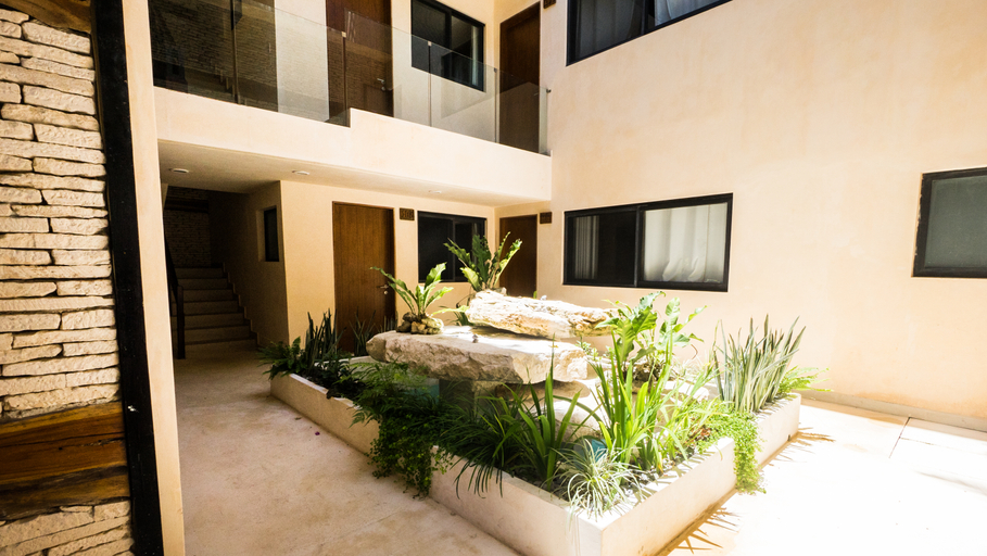 Public Area, Polos Playa Del Carmen, Cozumel
