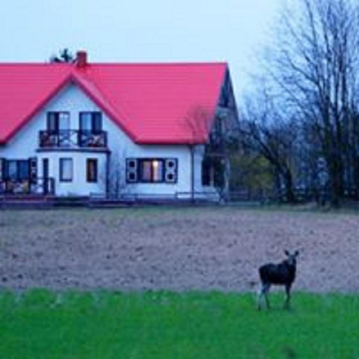 Others 2, Losiowy Kat, Mońki
