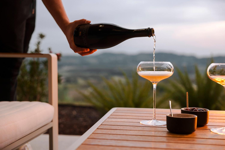 Food & Drinks 4, Tavarneta Estate, Gorizia