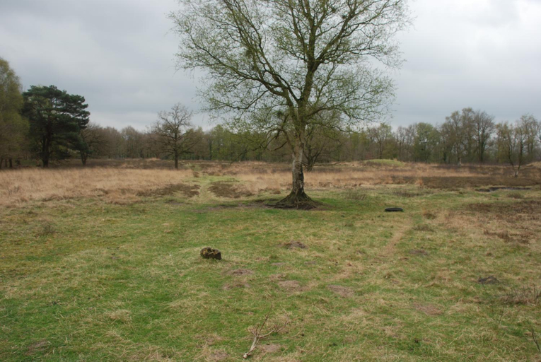 Others 4, Assen-Groningen-Saunacabine, Tynaarlo