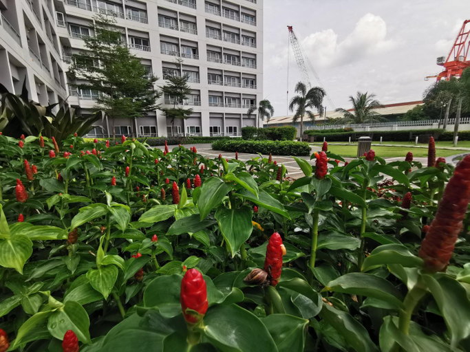 Others 2, Apad@graceresidences nr BGC, Taguig