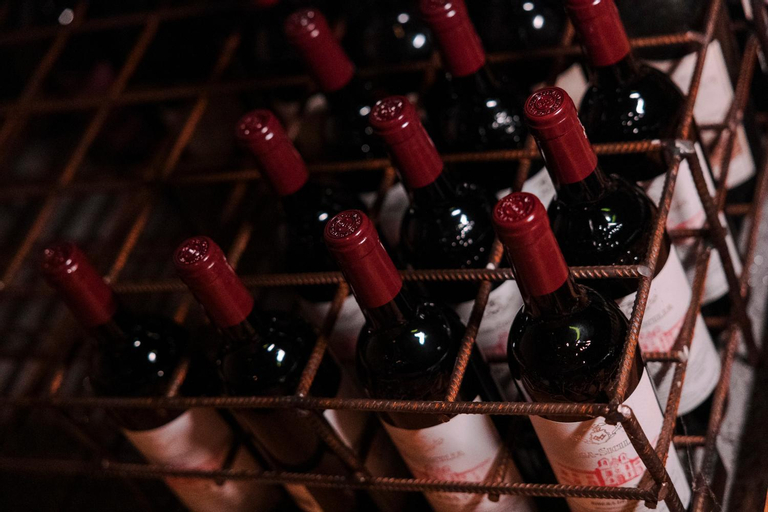 Food & Drinks 5, Tavarneta Estate, Gorizia