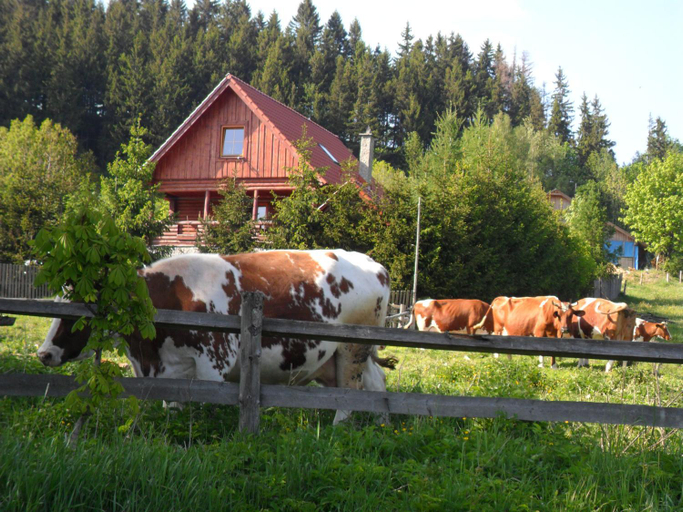 View 5, Agroturystyka U Baltazara, Kłodzko