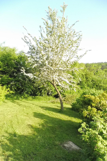Others 5, La Lustinoise, Namur