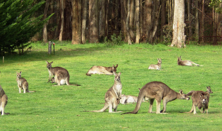 Others 3, The Retreat at Amryhouse, Macedon Ranges Bal