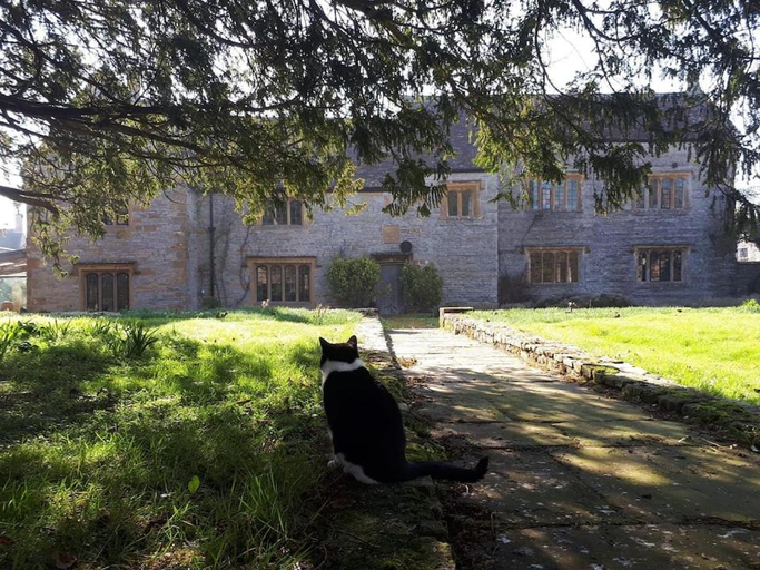 Others 4, The Manor House, Curry Mallet, Somerset