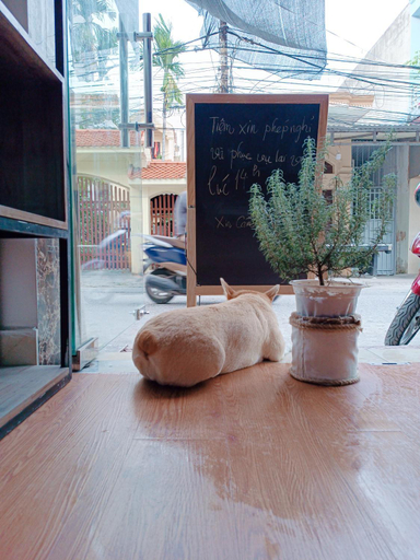 5, Cuccu homestay, Kiến An