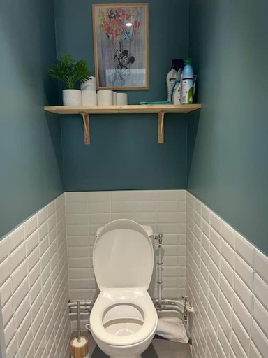 Bathroom 2, Chambre privee dans un appartement partage, Rhône