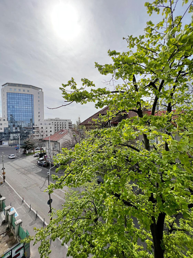 Others 4, Town Spot - Premium Studio - Sanador Victoriei, Municipiul Bucuresti