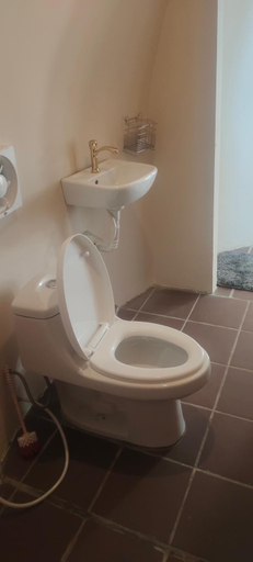 Bathroom 5, Done Right, Srae Ambel