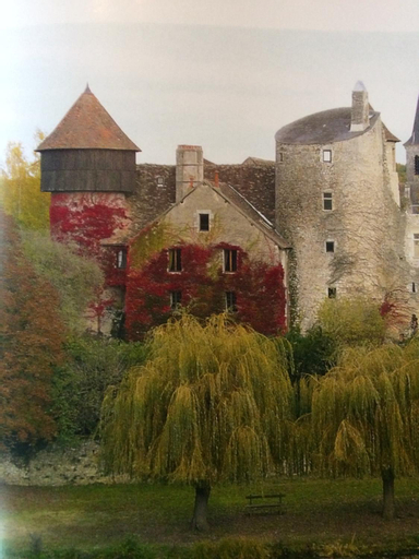 Chateau d'Ingrandes, Indre