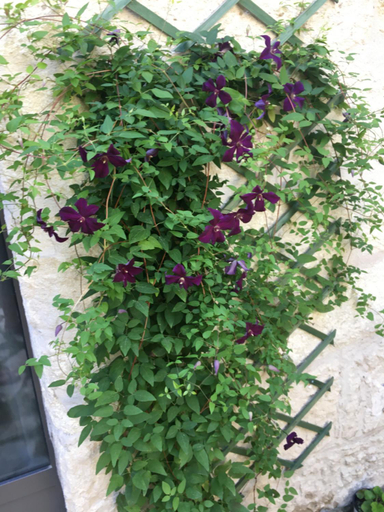 Others 2, Chambre sur jardin secret - Avignon Centre - Climatisee, Vaucluse