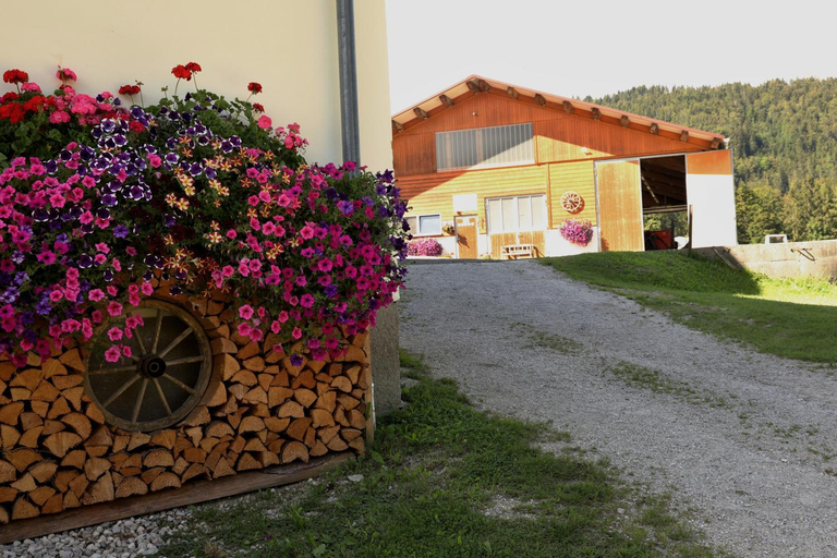 Stapflhof, Liezen