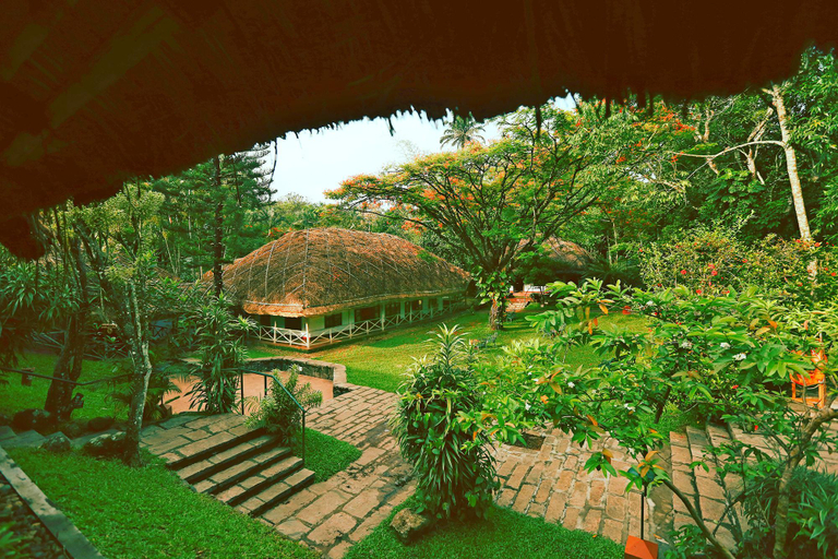 Scenery
