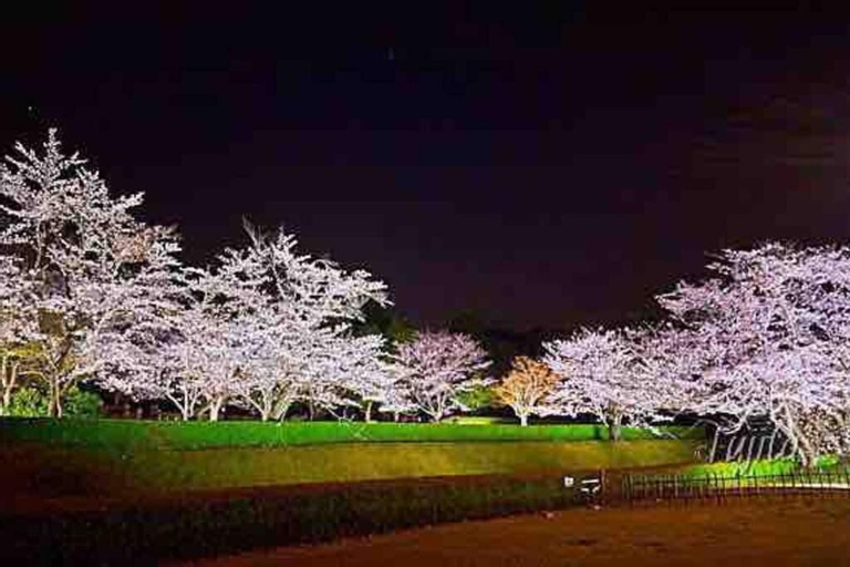 Scenery 12