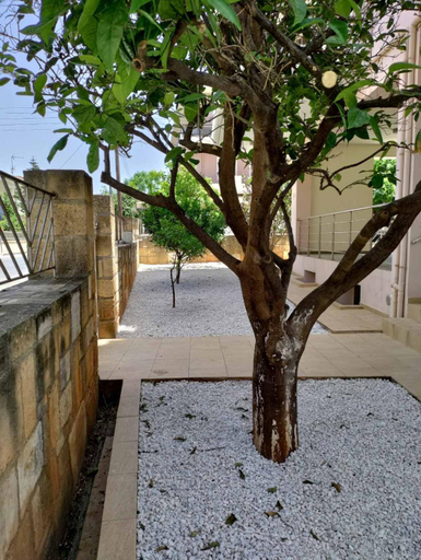 Others 3, Chania Sweet Apts, Crete