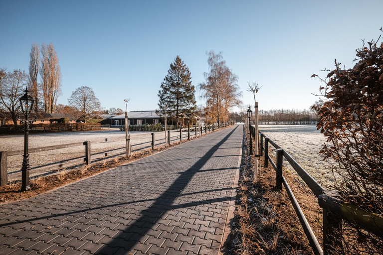 Others 3, Hof van Halle, Zelhem