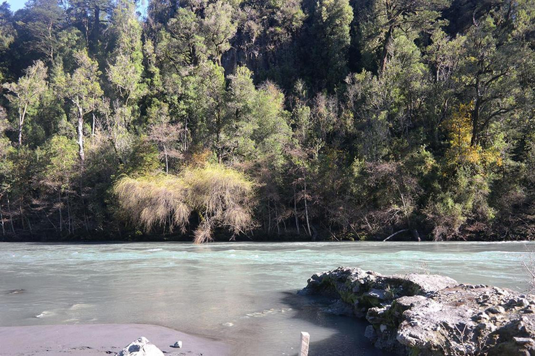 Surrounding environment 4, Ralun Patagonia, Llanquihue