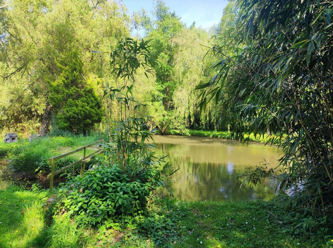 Scenery 8