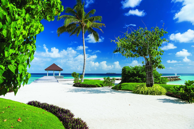 Public Area, VARU by Atmosphere - All Inclusive with Free Transfers, Kaafu Atoll