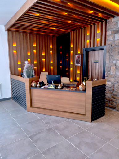 Public Area 2, Chalet Khione (Metinoğlu Pansiyon), Sarıkamış