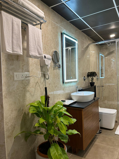 Bathroom 4, Royal Ace Luxur Hotel, Bangalore