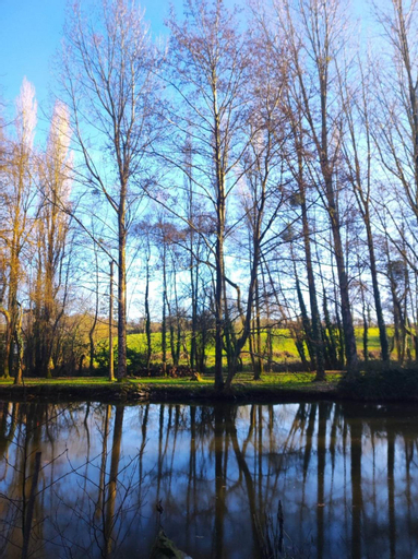 Scenery 2
