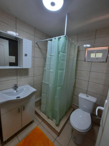 Bathroom, Cabana Ana, Vadu Motilor