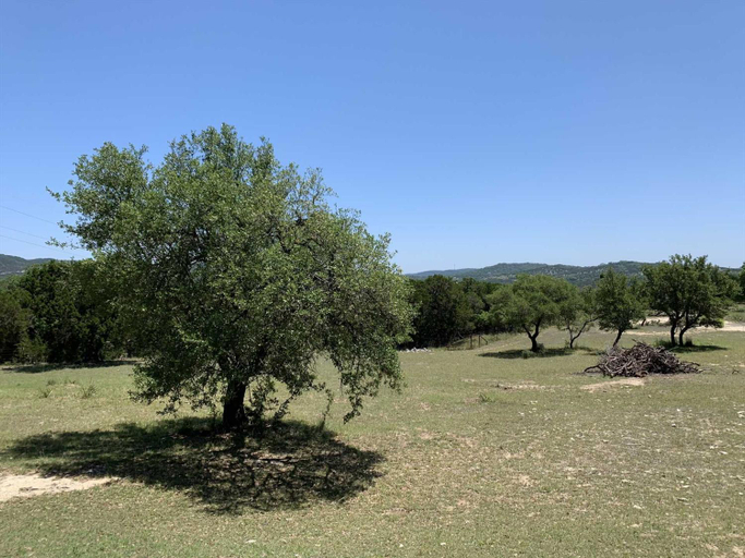 Others 5, Hill Country Hideout, Bandera