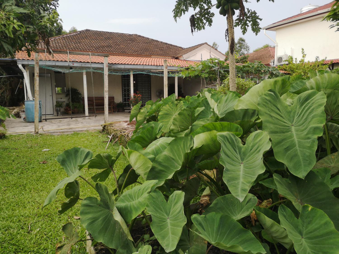 Others 5, REQUELstore, Sepang