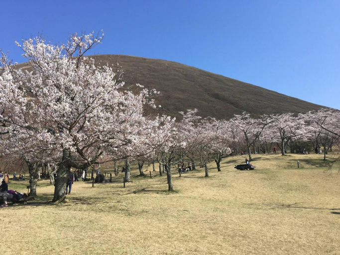 Scenery 1