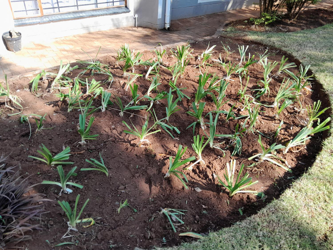Others 5, Park guesthouse, Gert Sibande
