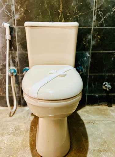 Bathroom, Horus Mini Resort, Unorganized in Al Jizah